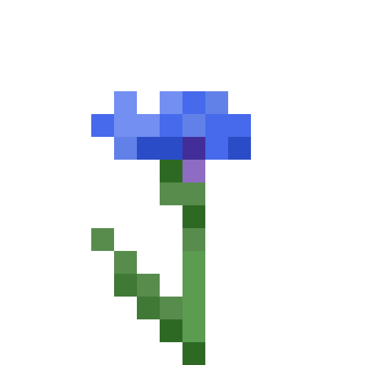 Cornflower (chaber)